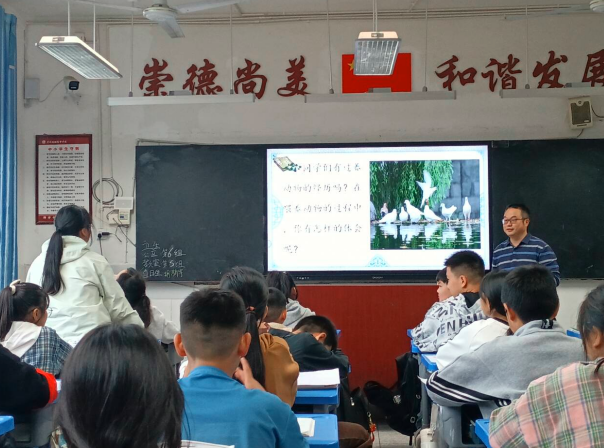 1730869363170580.png QQͼƬ20241106130236.png