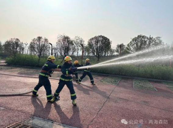 1731387362267098.png QQͼƬ20241112125545.png