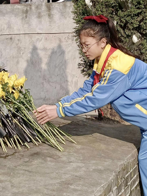 1743731926338352.png 18-3.png