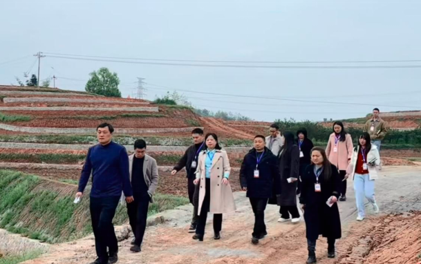 1744002064127892.png QQͼƬ20250407130011.png